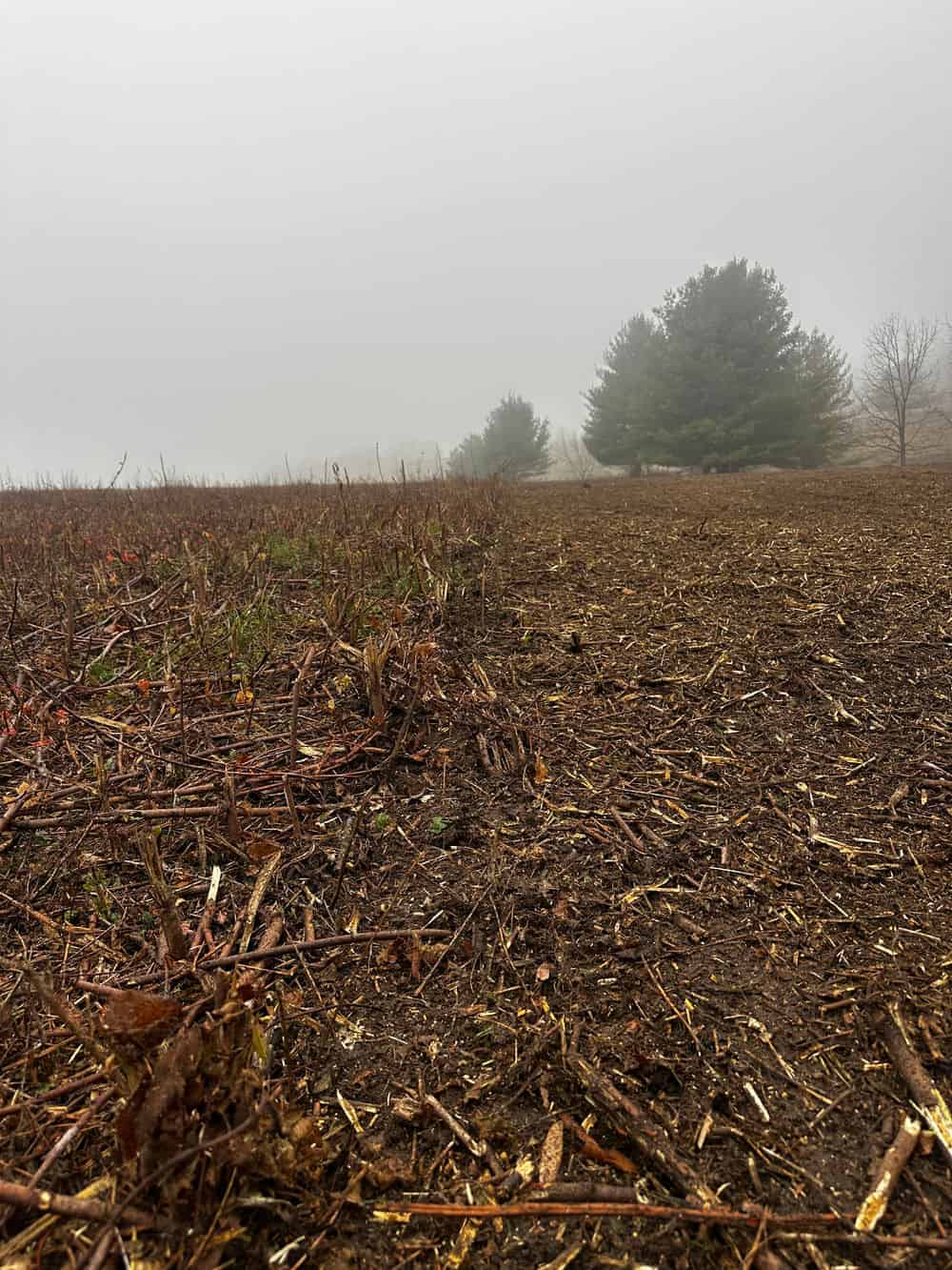 Forestry Mulching image