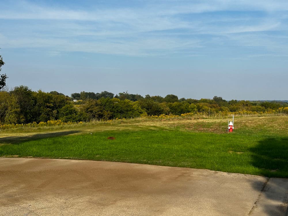 Scenic view of a grassy field and trees under a clear blue sky. Ideal for outdoor activities.