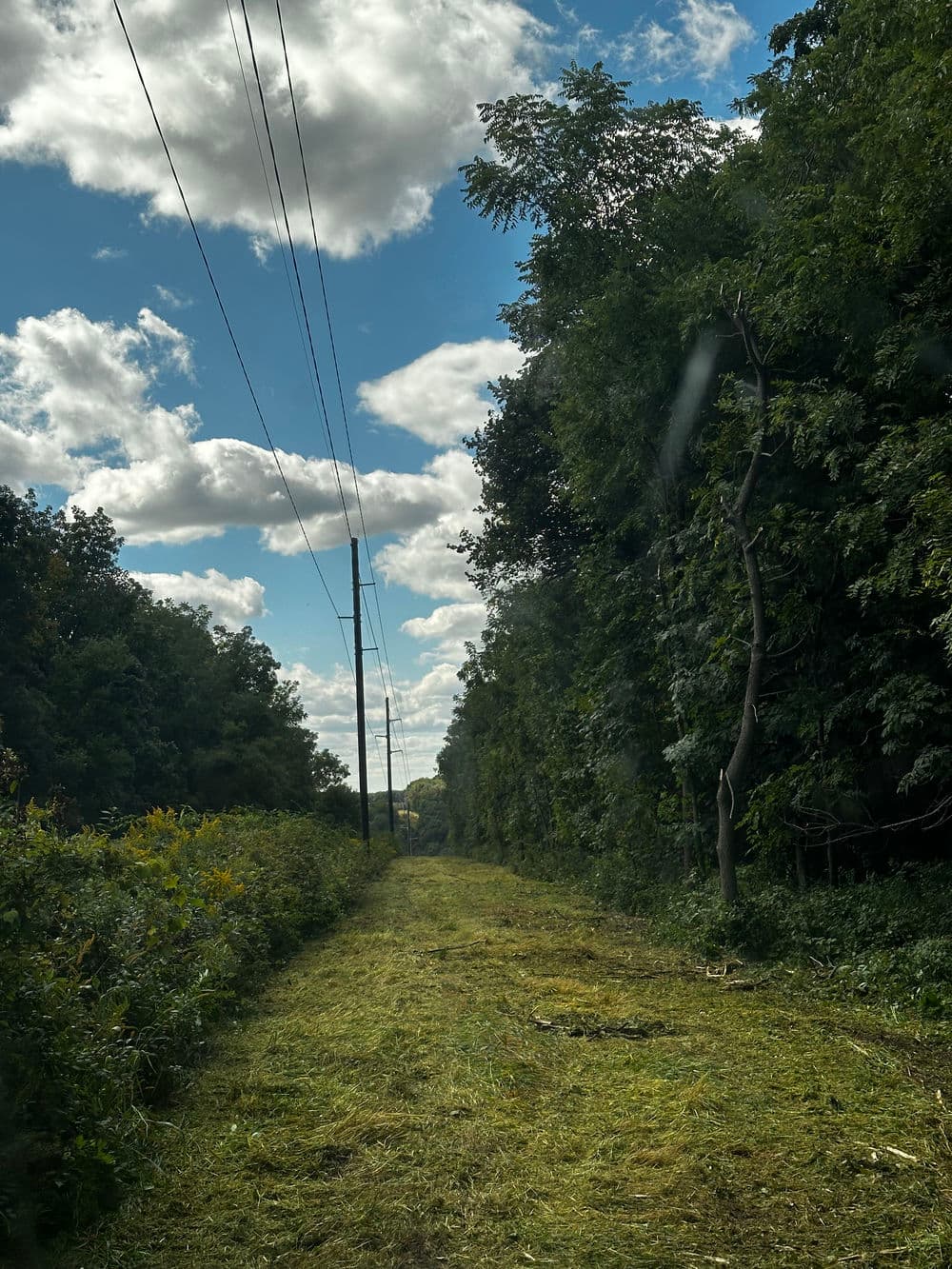 Cleared pathway through lush green foliage under a blue sky with clouds and power lines.
