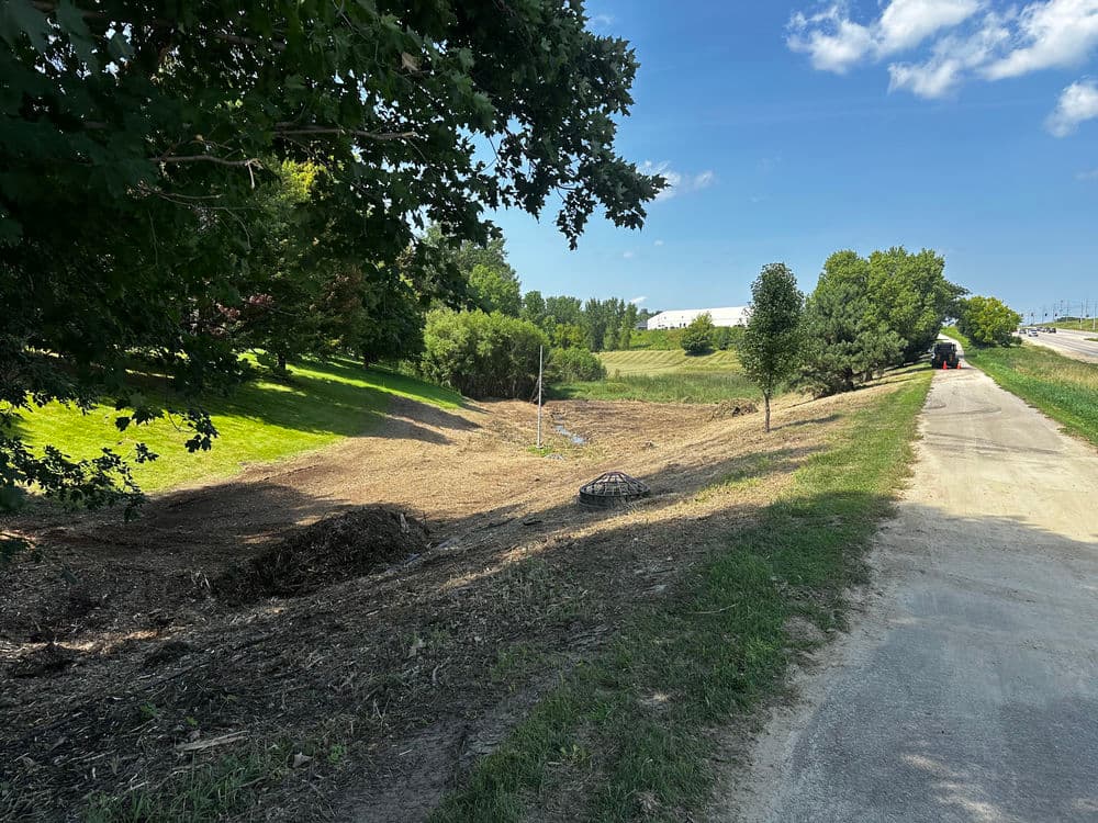 Cleared landscape near a pathway, featuring trees and a recently disturbed area.