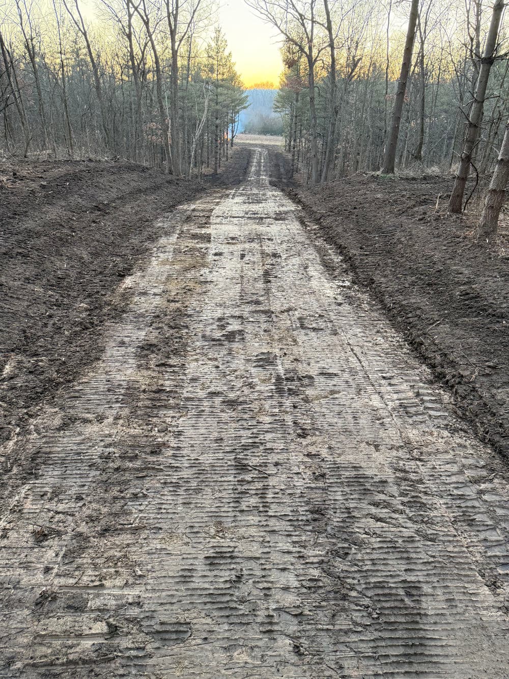 Cleared dirt road in a forest with tire tracks leading towards a sunset.
