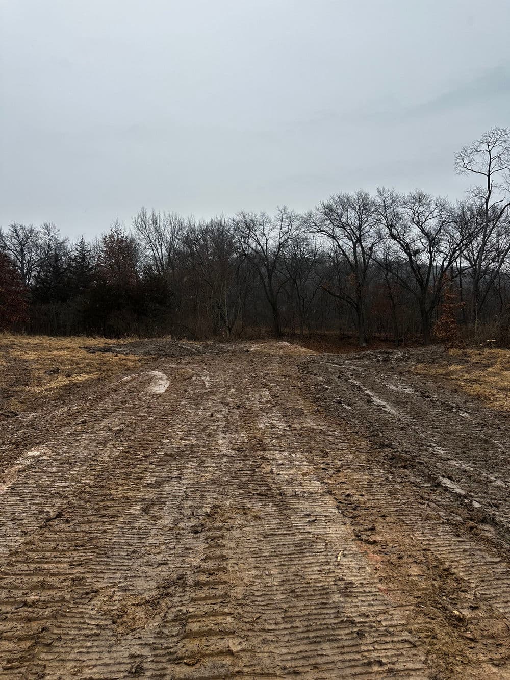 Mud-covered, cleared land with bare trees in the background on an overcast day.