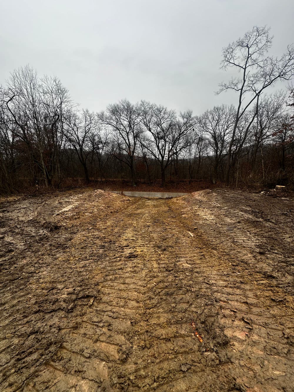 Cleared muddy land with tire tracks, surrounded by bare trees on a cloudy day.