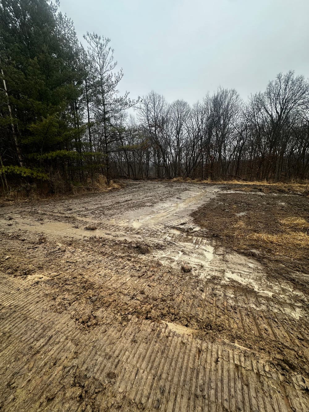 Cleared muddy land area with wet ground and sparse trees in a foggy environment.