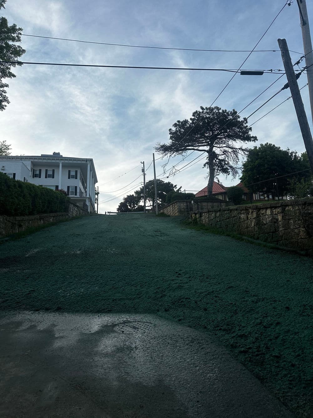 View of a steep, green-hued hillside with buildings and power lines under a blue sky.