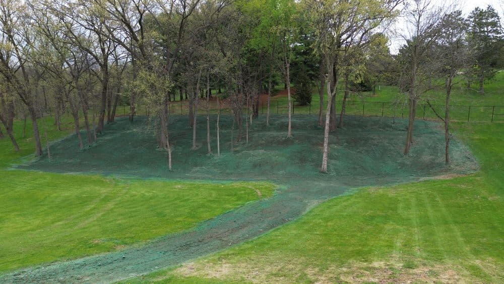 Green hillside with trees and freshly applied erosion control material. Lush grassy area.