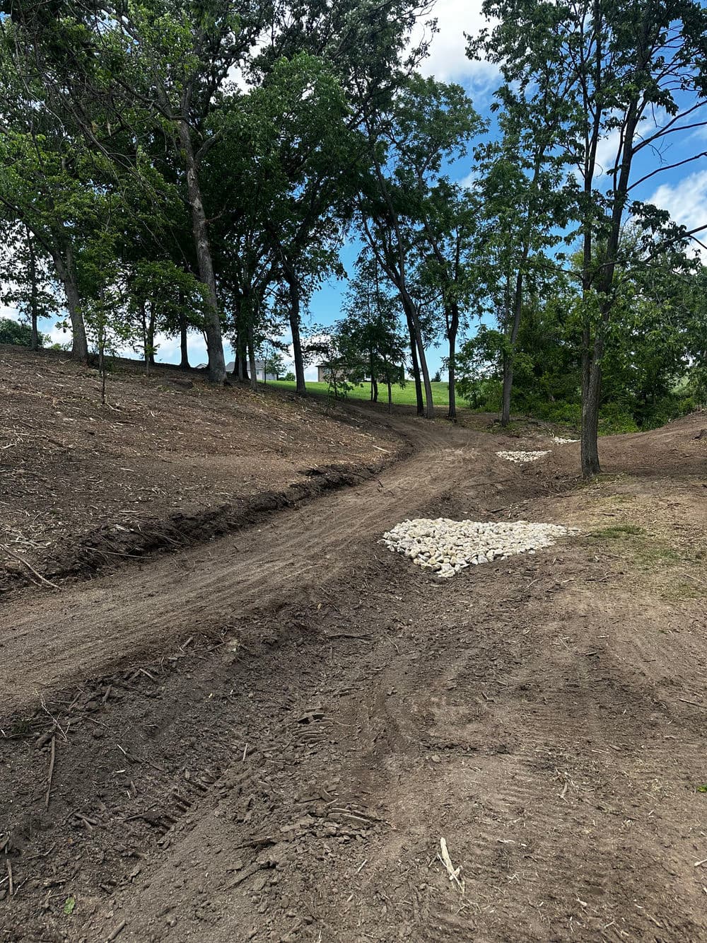 Dirt path winding through trees with stones placed along the side in a natural landscape.