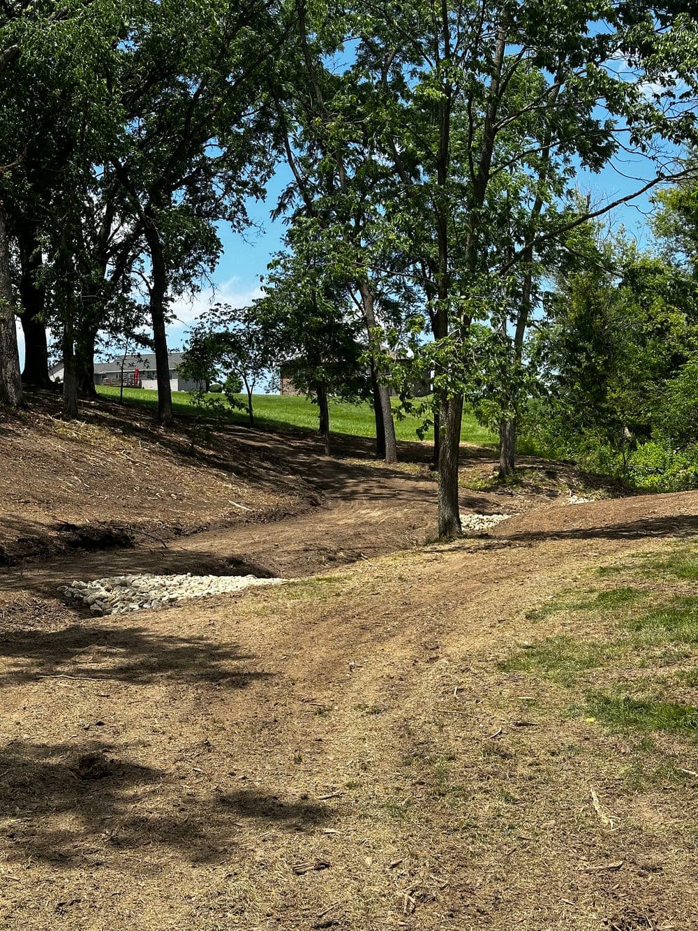 Path winding through trees in a sunny park, leading to lush green hills in the background.